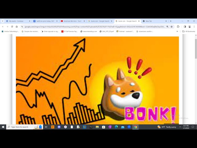 #bonk meme coin à .01 🔥/ c'est très possible !