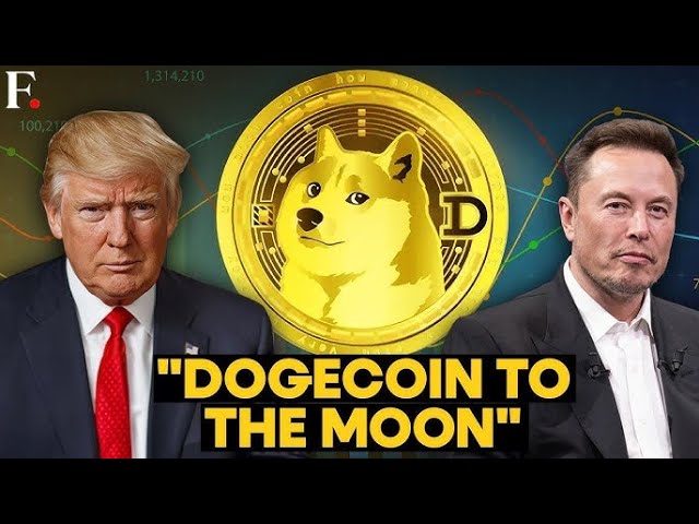 DOGE COIN 100$ SOON | DOGE COIN BIGGEST PUMP 2024