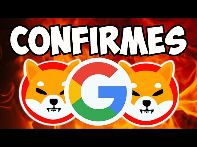 LE PDG DE GOOGLE JUSTE CONFIRMÉ SHIBA INU BURN ! PRÉPAREZ-VOUS ET NE TRAVAILLEZ PLUS JAMAIS..-SHIBA INU COIN NEWS AUJOURD'HUI