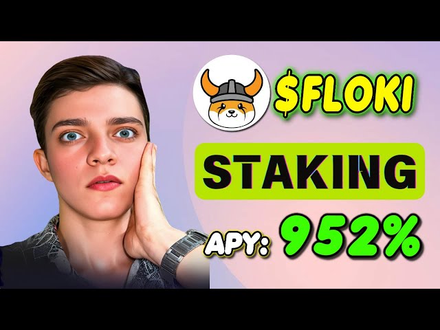 Staking de Real FlokiInu Coin 🚀 La meilleure façon de miser FLOKI pour un TAEG de 952 %