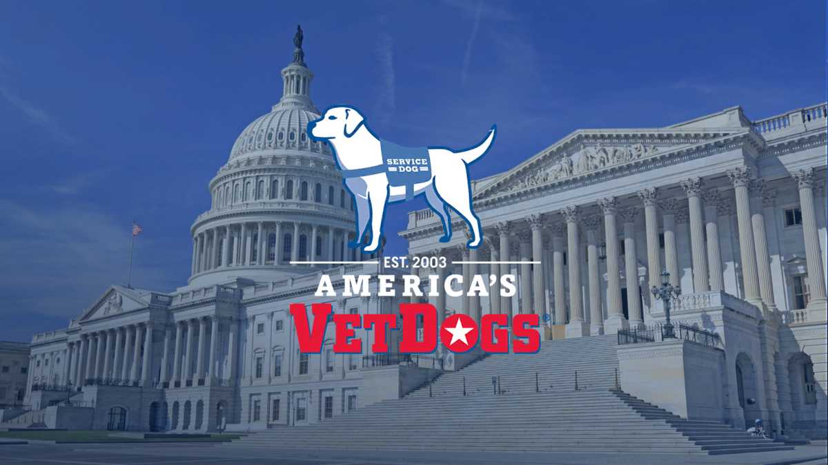 Bipartisan bill headed to the president's desk will help support efforts to provide specially trained service dogs to veterans and first responders with disabilities