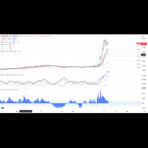 MANTRA (OM) Token Sees Surge in Whale Activity and Daily Active Addresses as Price Rises