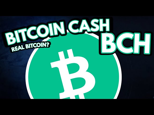 BITCOIN CASH BCH PREISVORHERSAGE & KRYPTOANALYSE!!!