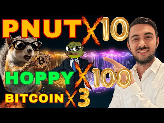 ホッピーディープ調査!!!!ビットコインは今日10万を突破するでしょうか?? PNUT 2024年の最強コイン??