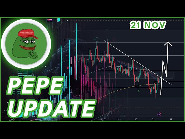 PEPE 突破机会！🚨 | 2024 年 PEPE 代币价格预测和新闻！