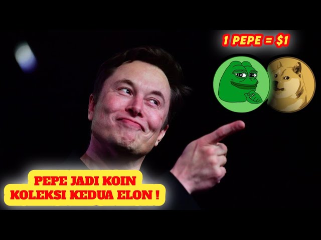 우와! PEPE가 ELON MUSK의 두 번째 동전이 되었습니다! 오늘의 PEPE 코인 예측 - 올해의 PEPE 코인 예측