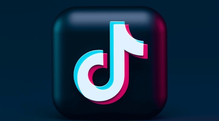 Die vom viralen TikTok-Meme inspirierte Kryptowährung „Chill Guy“ erlebt einen kometenhaften Aufstieg und steht vor rechtlichen Problemen