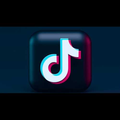 Chill Guy Crypto inspiré par le mème viral TikTok connaît une ascension fulgurante et fait face à des problèmes juridiques