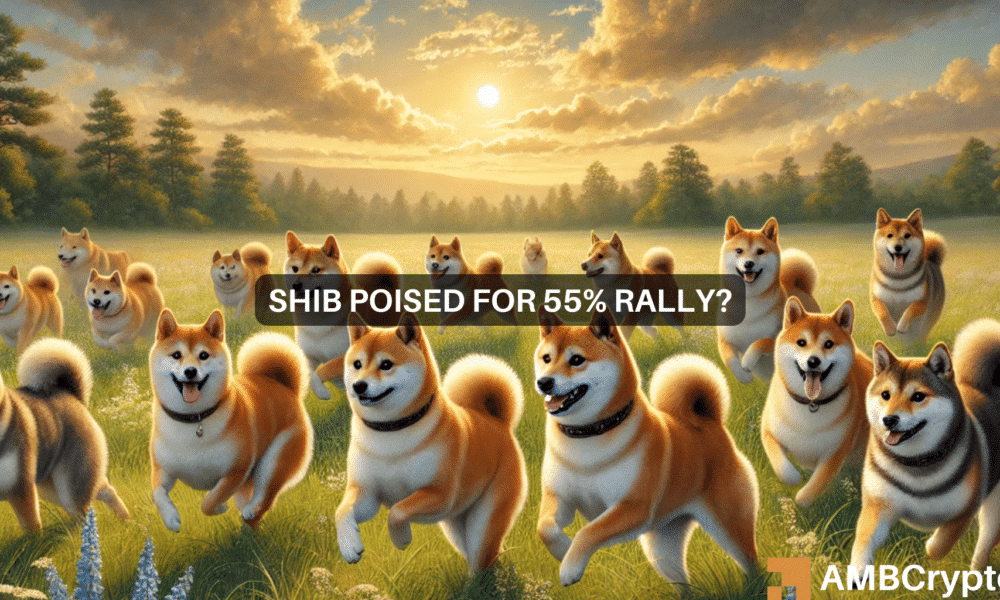 Shiba Inu (SHIB) steht vor einem Bullenmarkt, da Wale 1,67 Billionen Token ergattern