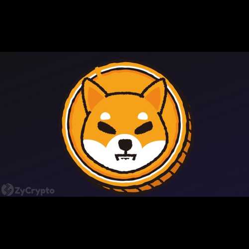 시바견(SHIB)이 앞으로 몇 달 안에 도지코인(DOGE)을 능가할 것이라고 암호화폐 리서치 회사가 제안했습니다.