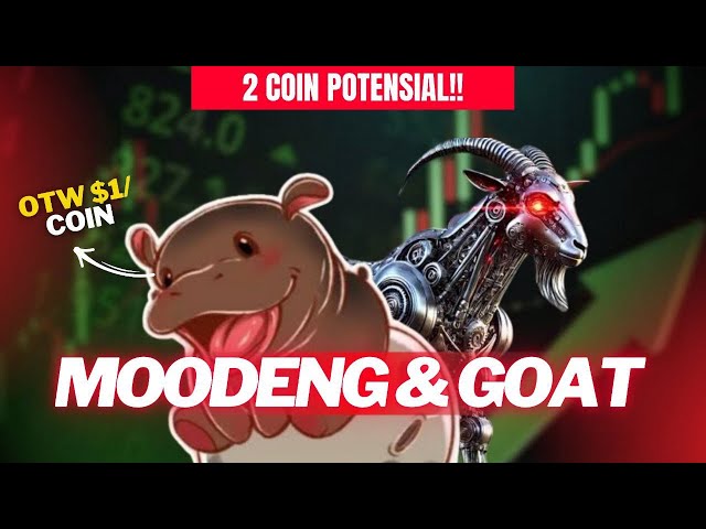 ANALYSIS OF $MOODENG AND $GOAT | MOODENG 1$ PER COIN