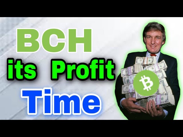 BCH 코인 긴급알림! BCH 가격 예측