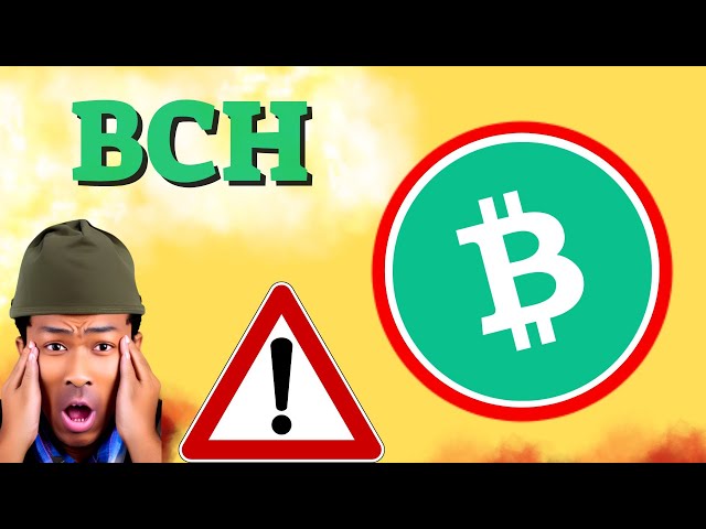 BCH 预测 22/11 月 BCH 币价格今日新闻 - 加密货币技术分析立即更新价格