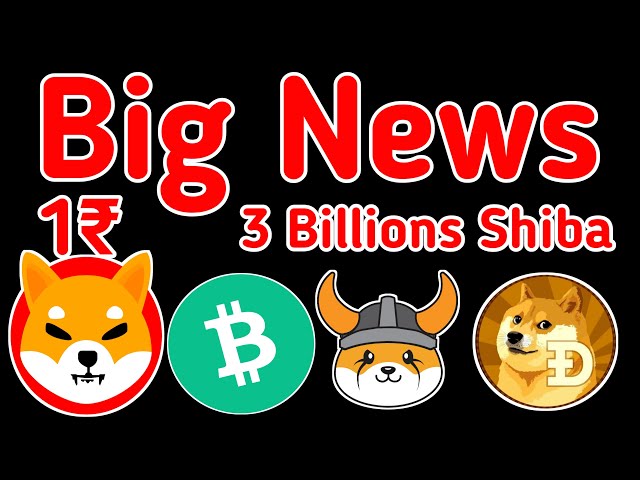 30 億 Shib 🤑 ビッグバン 🔥 柴犬コイン最新アップデート 📣 今日の柴犬コインニュース #shiba