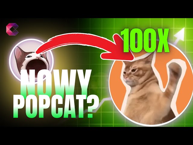 CatSlap – New MEMECOIN with 100x Potential! (Another POPCAT or MEW Coin?!)