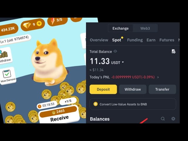 New Doge coin earn bot