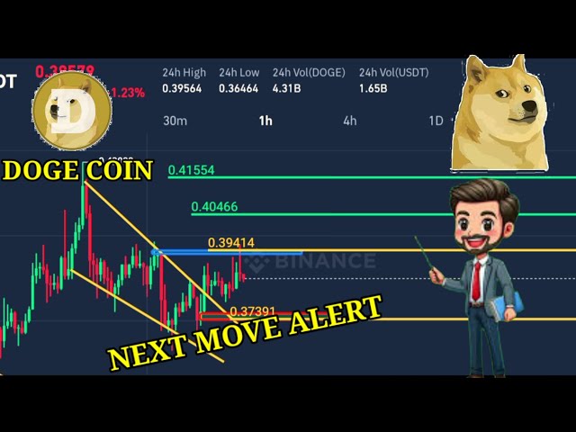 Doge Coin Next Move Alert🚨👀 | Doge Coin Analysis  | 22 Nov 2024 | #trading #crypto