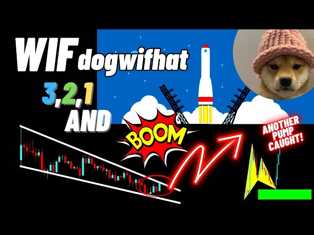 Dogwifhat (WIF) 暗号通貨価格の予測と分析