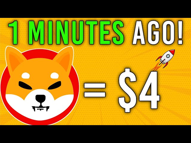 ETHEREUM CEO가 SHIBA INU에 대해 방금 말한 내용입니다! 곧 $4! -십카이