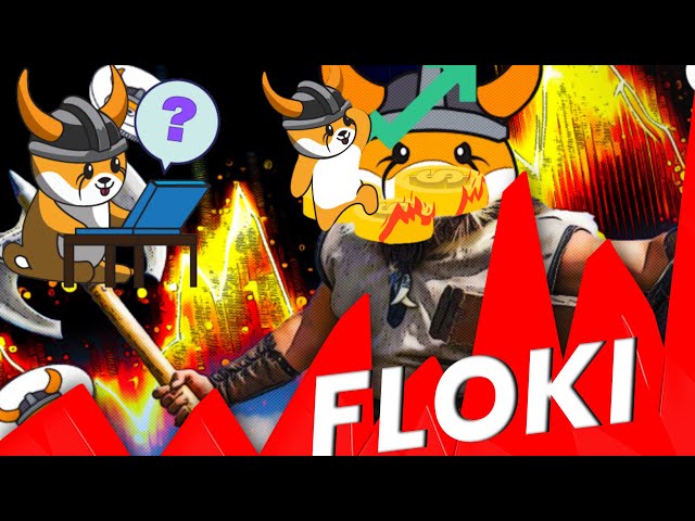 FLOKI INU COIN ニュース更新🔥Floki Inu コインを今日更新💸Floki Inu Coin 価格予測