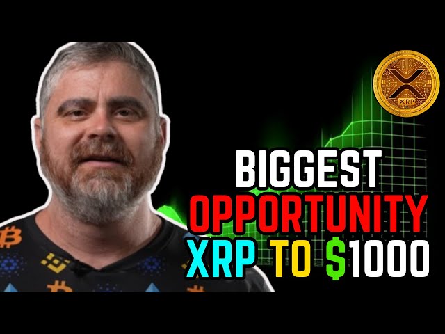 If You Hold XRP & HBAR You Will Be VERY RICH Soon!