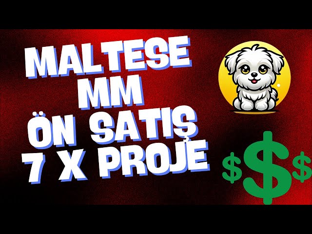 MalteseMM 硬币预售 -- 盈利项目 - 7 倍利润 $$$$ #luc #luna #floki