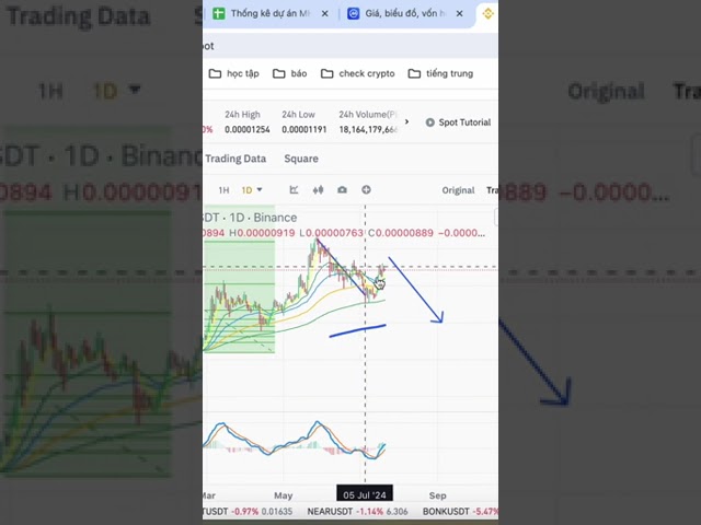 佩佩·布普 #pepe #coin #dong_coin #bitcoin #trade #bitcoin #btc #daututaichinh.mp4