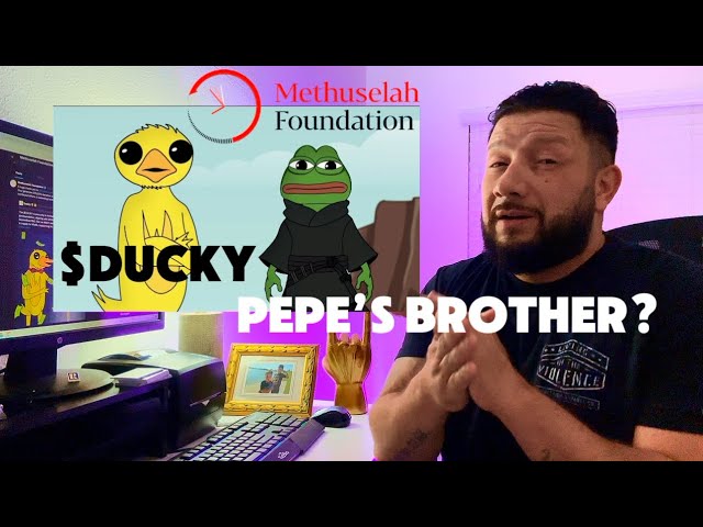 Pepe Coin hat Bruder $Ducky Coin ????