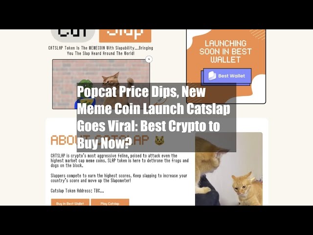 Popcat Price Dips, New Meme Coin Launch Catslap Goes Viral: Best