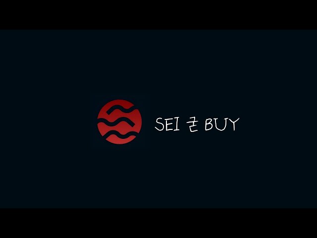 Seiida SEI GOOD BUY 2024.11.22