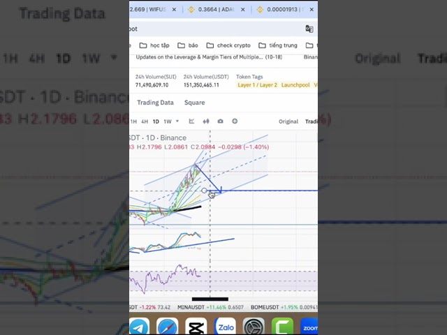 sui index #sui #coin #dong_coin #bitcoin #trade #dautu #btc #daututaichinh.mp4