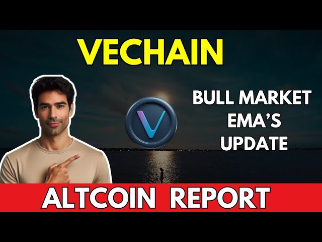 VET: BULL MARKET EMA 업데이트 || VECHAIN ​​VET 가격 예측