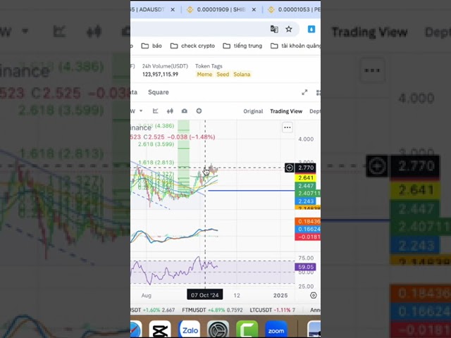 Wif调整#wif #coin #dong_coin #bitcoin #trade #dautu #btc #daututaichinh.mp4