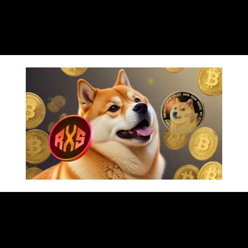 Rexas Finance (RXS)：在 DOGE 狂潮中潛在的 12,400% 漲幅