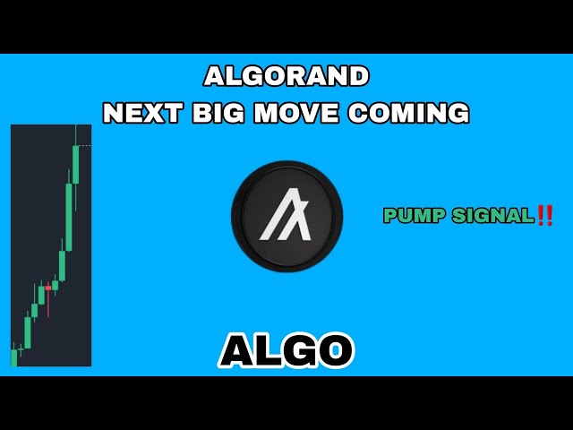 ALGO 币的下一个大动作将于 2024 年更新‼️ ALGORAND 泵信号‼️ ALGO 加密货币开始移动到这里