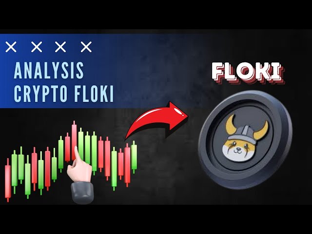 CRYPTO FLOKI(FLOKI) 분석🚨FLOKI 코인베이스 상장으로 인해 가격이 올랐나요? | 이 코인 밈이 재미있나요?🚨