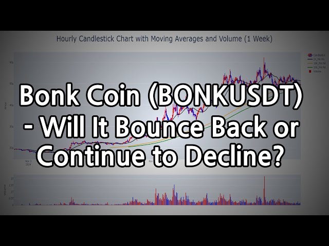 Bonk Coin (BONKUSDT) – Wird er sich erholen oder weiter sinken?