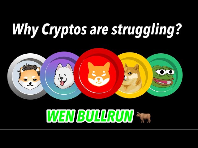 Why are BONK, PEPE, SHIB & crypto down? When is the crypto bullrun?