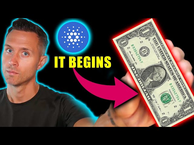 CARDANO CASSE 1 $ (ADA TRÈS SOUS-ÉVALUÉ)