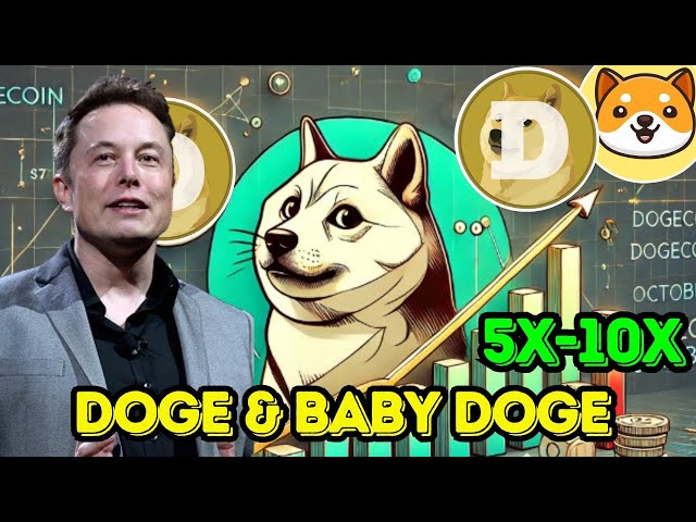 DOGE & BABY DOGE 코인 업데이트 2025 | DOGE & BABY DOGE 암호화폐 10X? 오늘의 MEMES 코인 뉴스 |