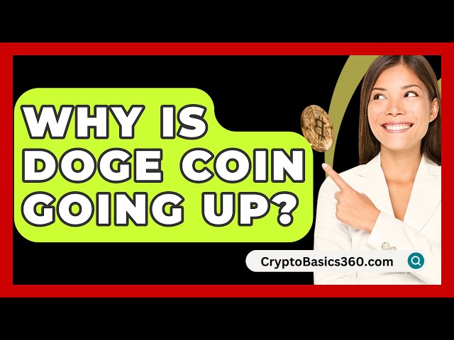 Why Is Doge Coin Going Up? - CryptoBasics360.com