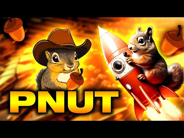 What is Peanut the Squirrel?  - PNUT Memecoin about Squirrel Explained