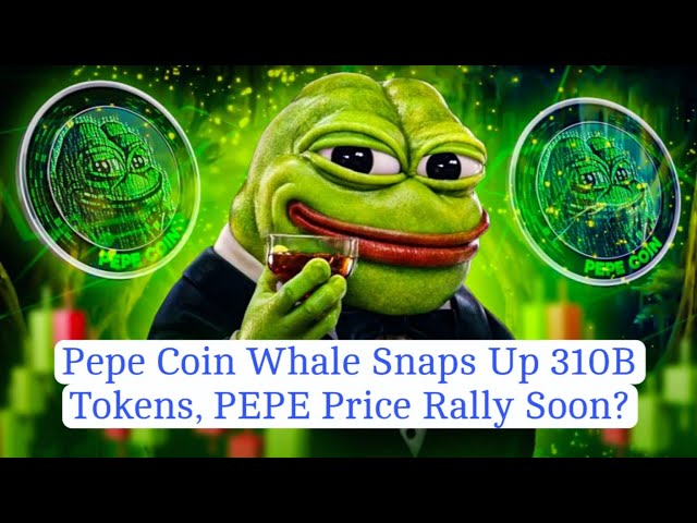 Pepe Coin Whale s'empare de 310 milliards de jetons, le prix du PEPE rebondit bientôt ? #pepecoin