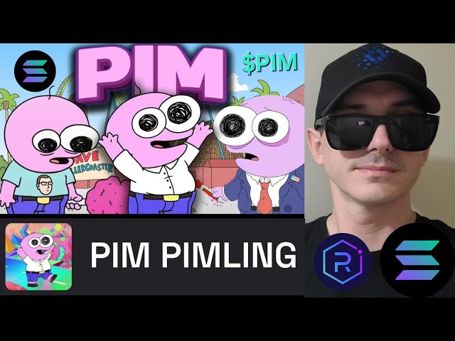 $PIM - PIM PIMLING 代幣 加密貨幣 如何購買 SOLANA MEMECOIN MICHAEL CUSACK 微笑的朋友 SOL