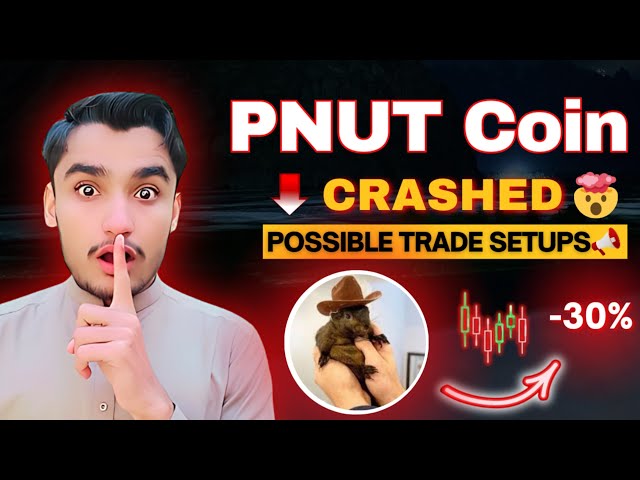 PNUT コインの価格予測と今日のニュース | PNUTコインがクラッシュしました | PNUTコインの最新情報と分析！ #プナット