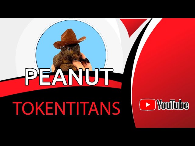 🚀🐿️ PNUT：結合歷史和財務潛力的 Memecoin！ 💸🌟加入運動吧！