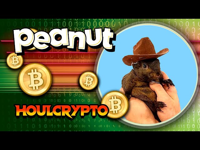 🐿️🚀 PNUT：征服加密世界的 Memecoin！ 💸🔥