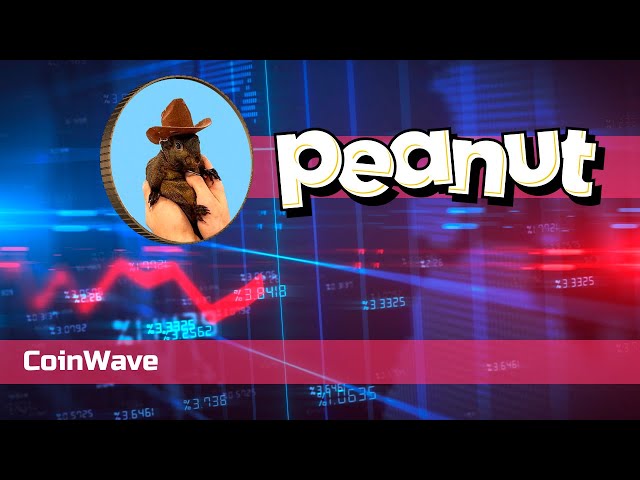 💰🐿️ Pourquoi PNUT est-il le Memecoin dont tout le monde parle ? 💎✨ Découvrez-le ici !