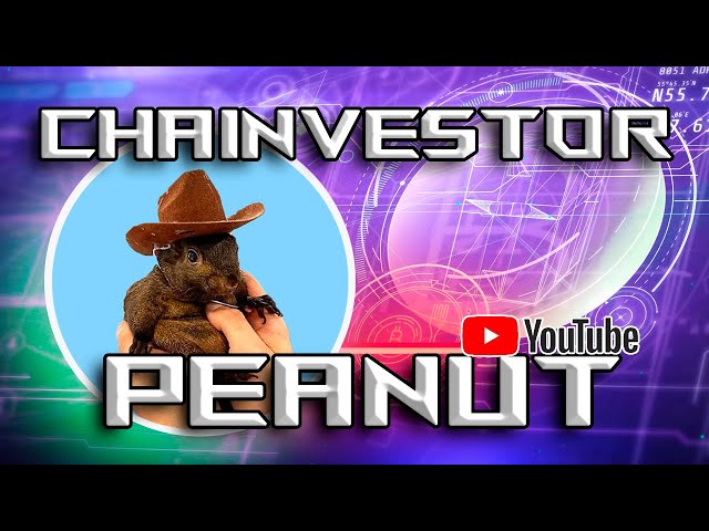 🔥🐿️ PNUT : Plus qu'un Memecoin, un hommage qui entre dans l'Histoire ! 💰🌍 Découvrez son impact !