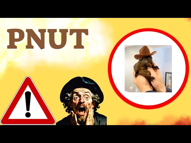 PNUT Prediction 22/NOV Peanut Squirrel Coin Price News Today Crypto Technical Analysis Update Now